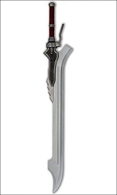 Vous venez de recevoir votre épée. C'est génial ! Qu'est-ce que vous faites ?