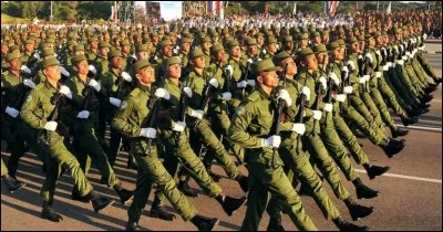 Quel pays célèbre sa fête nationale le 10 décembre ?