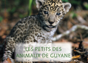 Quiz Les animaux de Guyane