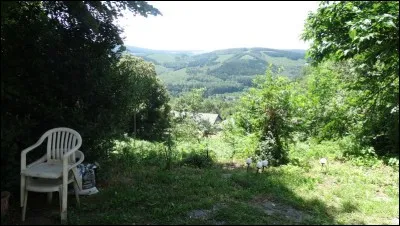 Ragoût de mouton, accompagné de navets !