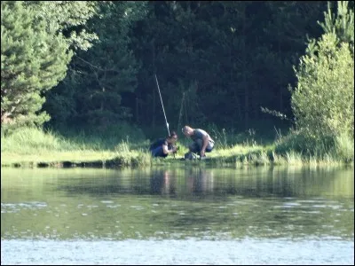 Formation du fruit qui succède à la fleur !