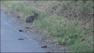 Carbonate de sodium hydraté, utilisé dans l'ancienne Egypte pour conserver les momies !
