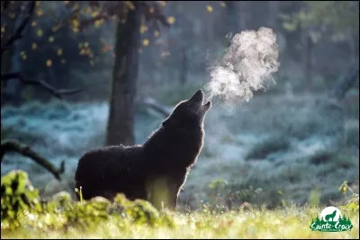 Quel v&ecirc;tement aimes-tu le mieux ?
