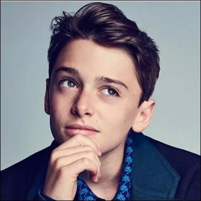 À quel personnage de dessin animé célèbre Noah Schnapp a-t-il prêté sa voix ?