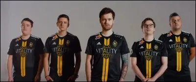 Quelle est cette Team Fortnite ?