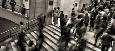 Quel nom donne-t-on à la phobie des lieux publics, de la foule ?