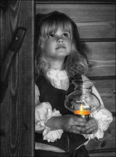 Dans le livre "Les Malheurs de Sophie", quel était le prénom de son cousin ?