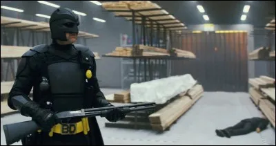 De quel film vient cette image ?