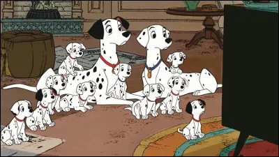 Combien sont-ils dans la famille des Dalmatiens ?