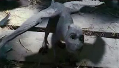 Dans quels films suis-je apparu ?