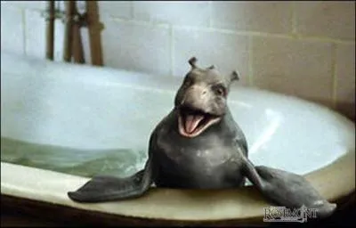 Dans quels films suis-je apparu ?