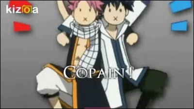Natsu et Grey sont les meilleurs amis pour la vie :