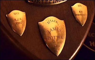 Quels postes occupaient James Potter ?