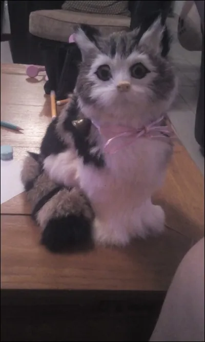 Si on te propose de tourner un film au même moment où ta sur se marie...