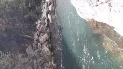 Quand tu as du temps libre, tu...