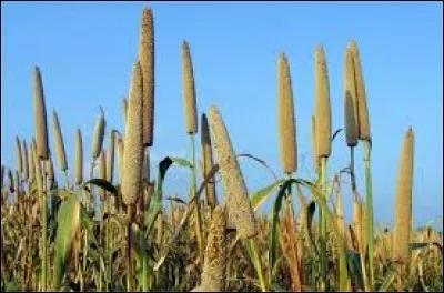 Paris apparaît dans quelle chanson ?