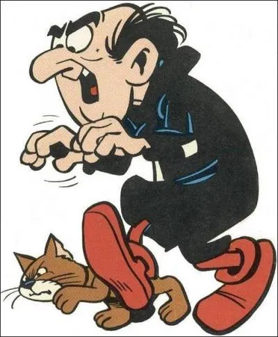 Quel est le nom du chat de Gargamel dans les Schtroumpfs ?