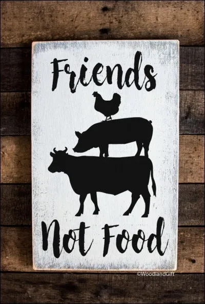 Quelle est la conclusion de ce quiz ?