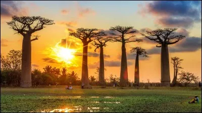 Quel est le nom de Madagascar dans sa langue nationale ?