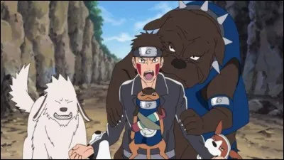 Quel est ton passe-temps favori ?