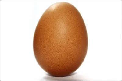 Pourquoi un végan ne mange pas d'ufs ?