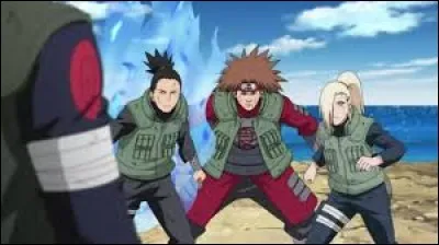 Comment s'appelle (dans l'ordre) le trio Shikamaru, Chogi, Ino ?