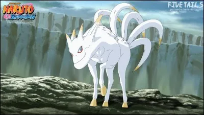 Comment s'appelle le réceptacle à cinq queues ?