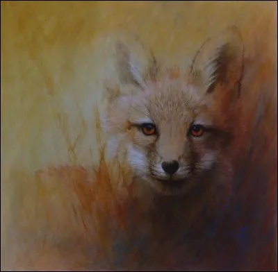 Quel genre de couleurs aimes-tu le plus ?