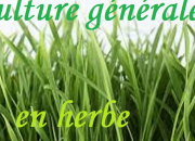Quiz Le mot 'herbe' en culture gnrale