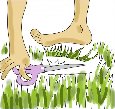 Que signifie l'expression "couper l'herbe sous le pied" ?