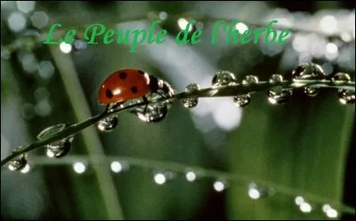 Complétez le titre de ce film "------ : : Le Peuple de l'herbe".