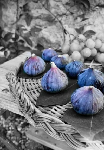 Quel nom porte la fameuse confiture de figues, provençale ?