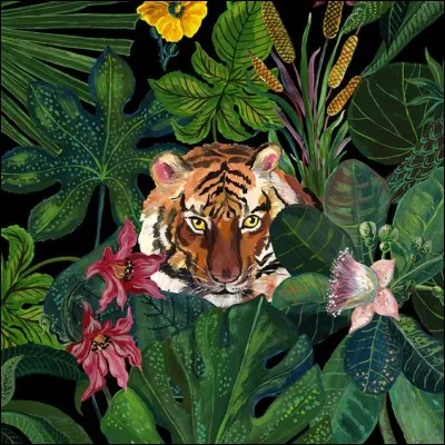 Quel grand homme fut surnommé "Le Tigre" ?