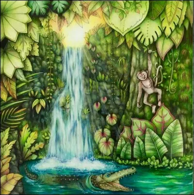 Où sont les cascades d'Ouzoud ?