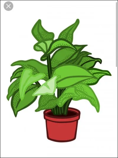 Vos plantes préférés sont...