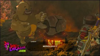 Où trouve-t-on des gigots de caillasses ?