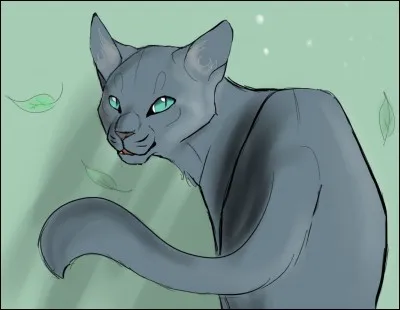 Comment sont ses yeux ?