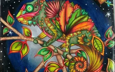 Quiz Illustrations