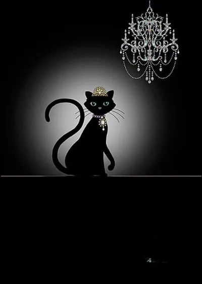 Lequel de ces chats, est un chat noir ?