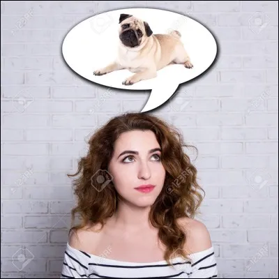 Ton animal fétiche...