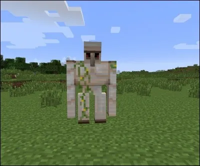 Quel mob protège les villages depuis la version 1. 2. 4 ?