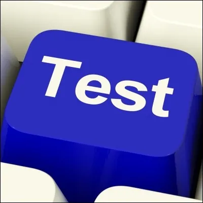 Quel est le nombre de tests de QI officiels, et reconnus (pour adultes) ?