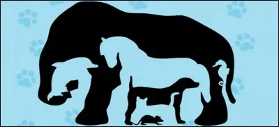 Combien d'animaux voyez-vous sur cette photo ?