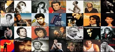 On peut voir la pochette du disque de Michel Fugain sur cette image. Oui ou non ?