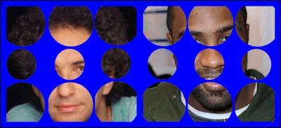 Que voyez-vous sur cette image ?