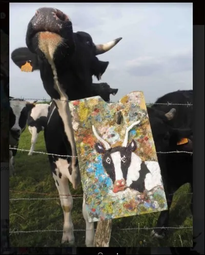 Combien y a-t-il de races bovines répertoriées sur le territoire national ?