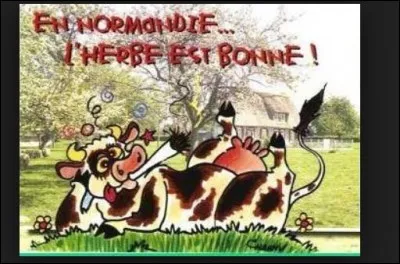 Chaque année depuis 2001, l'objectif de cette journée est de faire connaître les facettes de cet "or blanc". À quelle date se situe la journée mondiale du lait ?