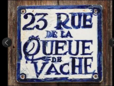 Insolite, où se situe en France, la rue de la Queue de Vache ?
