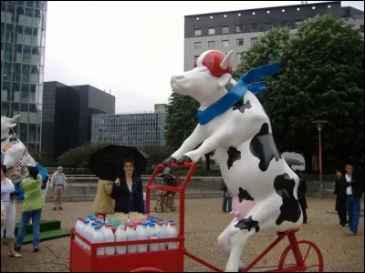 Elle est la première race laitière française, on la trouve dans les élevages laitiers du Grand Ouest, de la Nouvelle Aquitaine aux Hauts de France etc...Quel nom a été donné à cette race bovine qui assure à elle seule 80% de la collecte nationale de lait destiné à l'industrie laitière (lait, yaourts...) ?