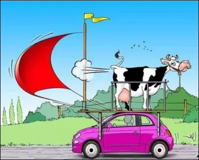 À quand remonte le tout premier cas de "vache folle" en France ?